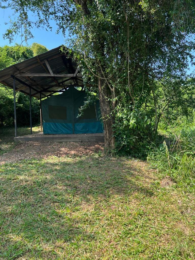 Murchison Giraffe Camp Paraa Buitenkant foto